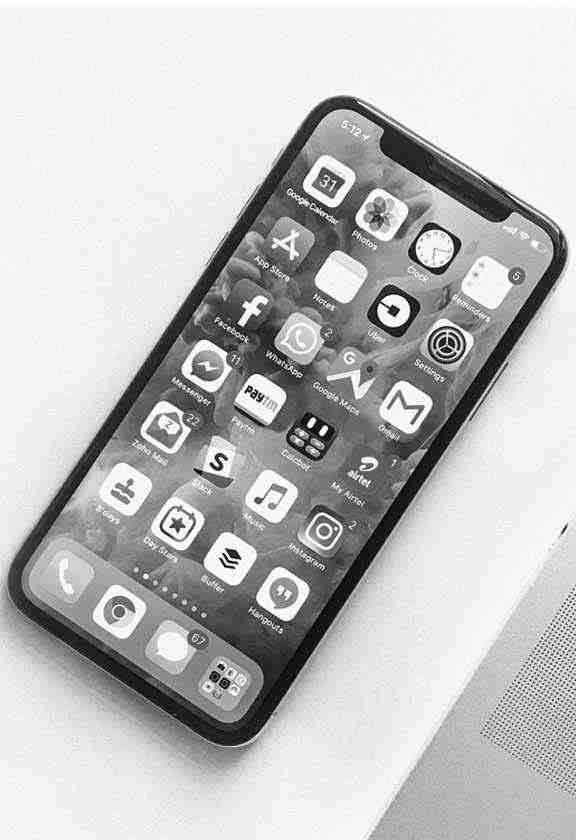 APP开发