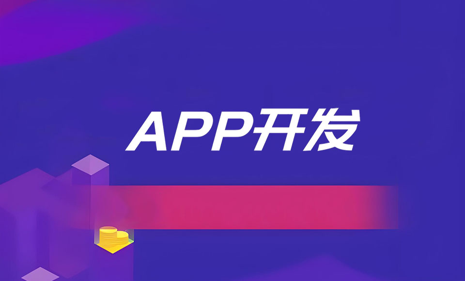 APP开发